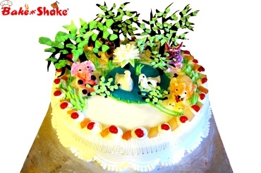 JUNGLE CAKE