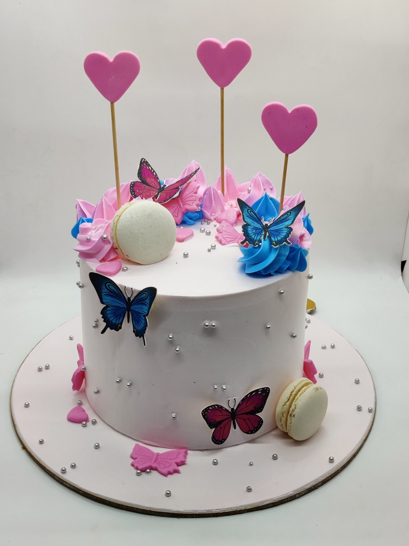 A CAKE WITH BUTTERFLY AND MACRONS 