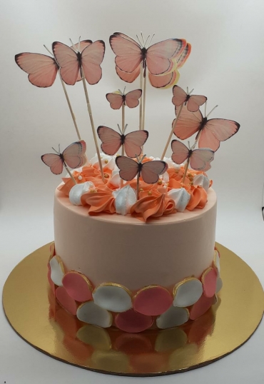 CAKE WITH BUTTERFLY