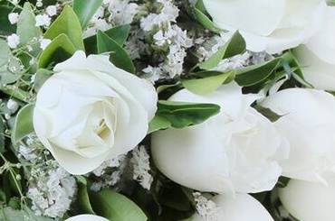 BOUQUET Of WHITE ROSES